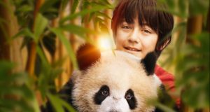 MOON IL PANDA dal 17 aprile al cinema MOON IL PANDA dal 17 aprile al cinema
