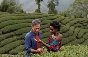 BLACK TEA dal 15 maggio in sala BLACK TEA dal 15 maggio in sala