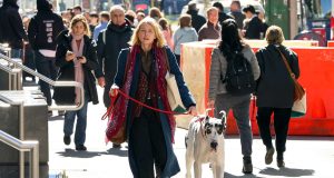 L’AMICO FEDELE con Naomi Watts dal 5 giugno al cinema L'AMICO FEDELE - dal 5 giugno al cinema