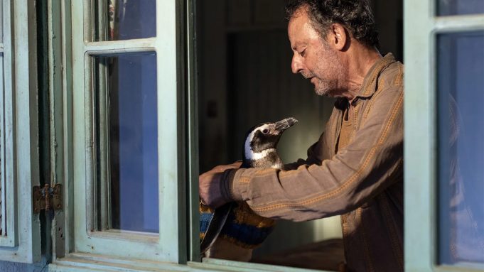 IL MIO AMICO PINGUINO dall'11 settembre al cinema